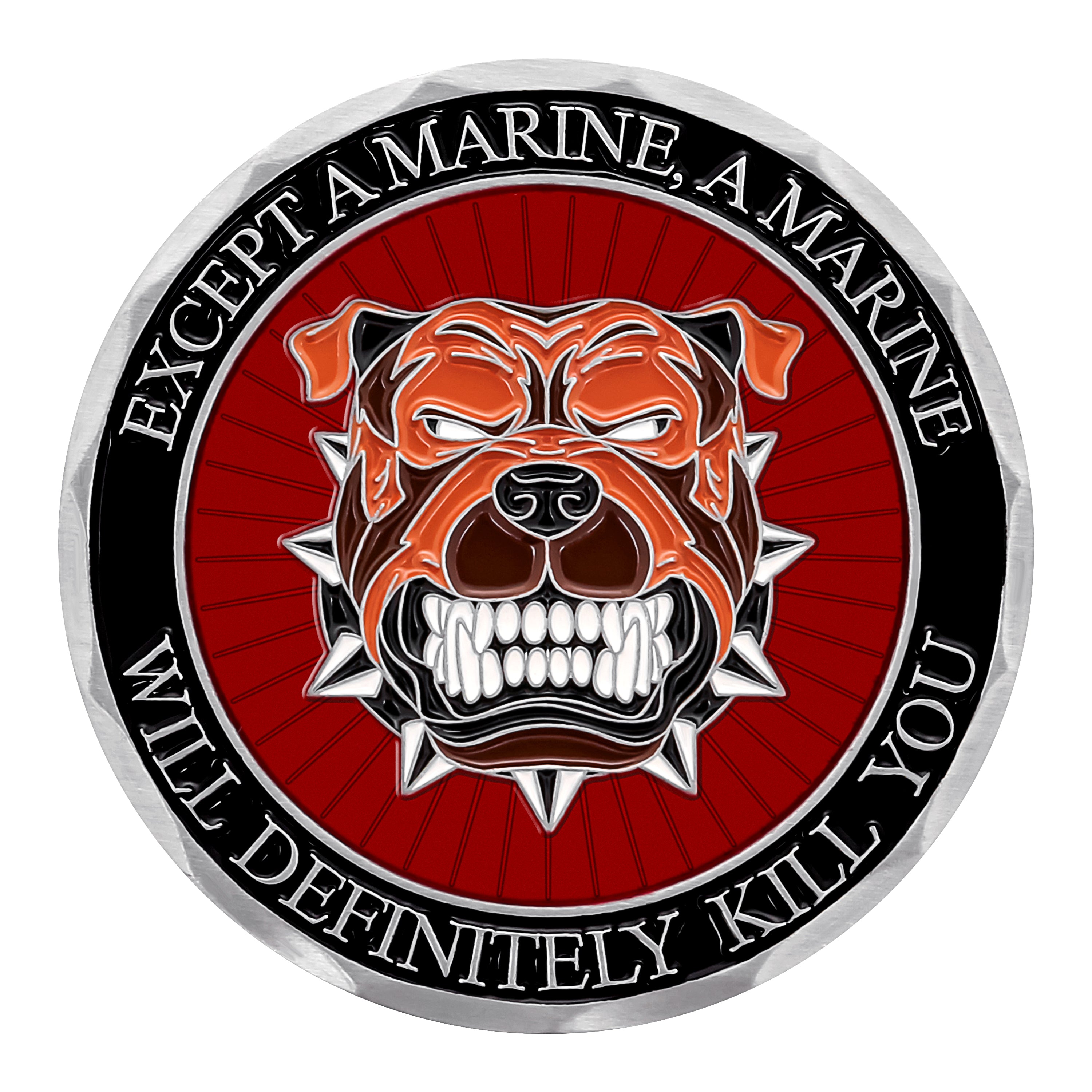 USMC What Doesn't Kill You Challenge Coin