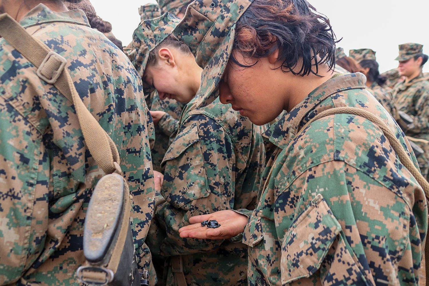 MCRD San Diego Recruit Training Photos-RECEIVE WHILE YOUR MARINE IS HOME ON LEAVE